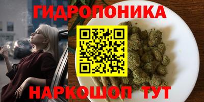 стаф Будённовск