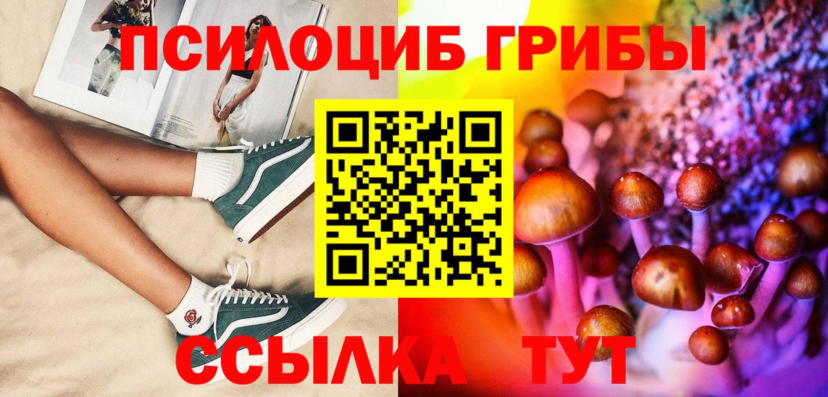  COCAIN Моздок
