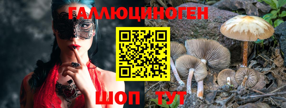 Моздок  Галлюциногенные грибы прущие грибы  Вход с VPN 